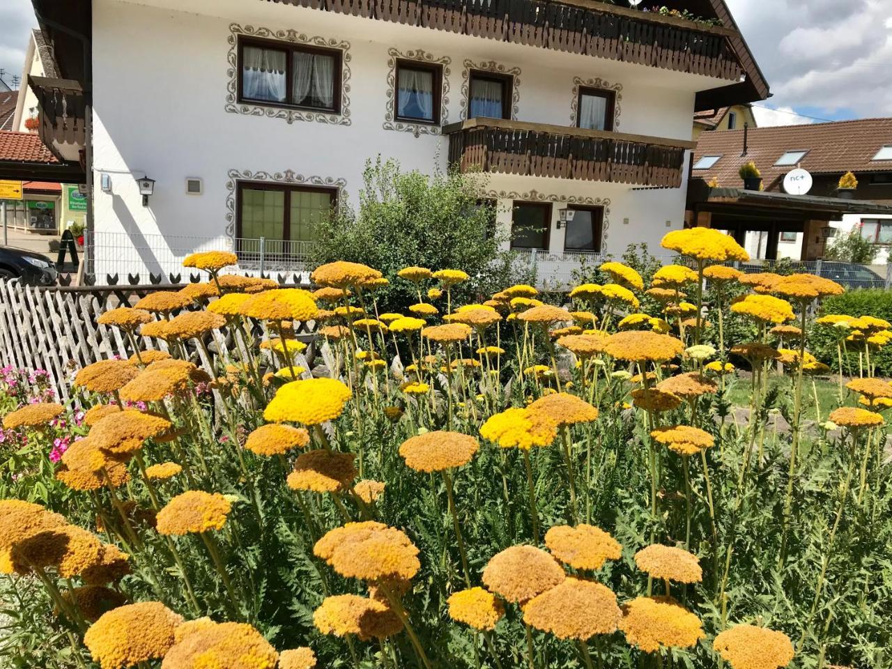 Hotel-Pension Zum Bierhaus Rötenbach Kültér fotó